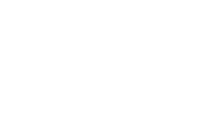 Suzuki Logo